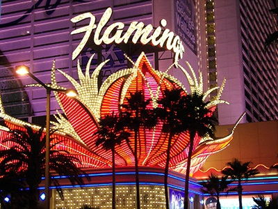 Flamingo casino