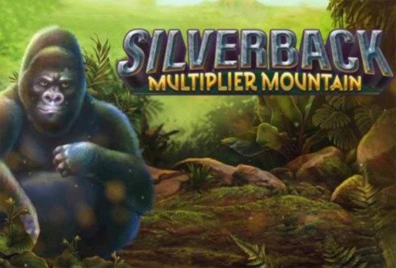 Silverback Multiplier Mountain