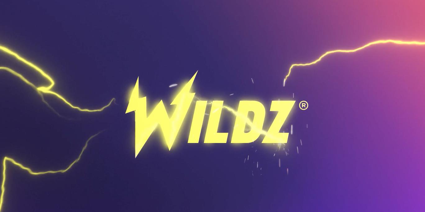 Wildz logo