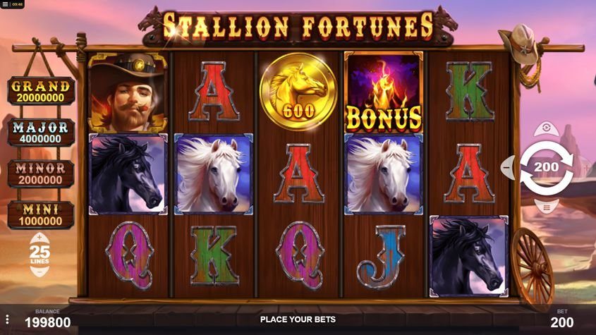 Stallion fortunes